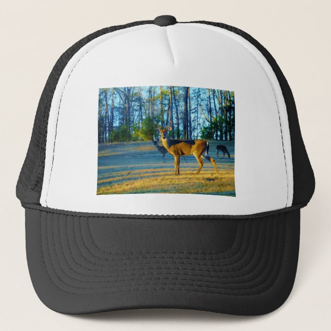 Casquette Stade / Buck Deer, Ciel bleu clair (Devant)