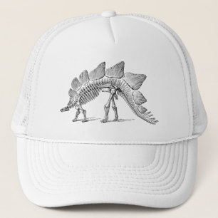 Casquette Stegosaurus Dinosaure Squelette Fossile