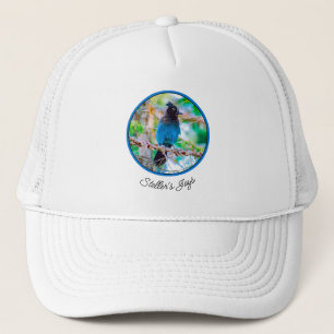 Casquette Steller's Jay - Photographie originale