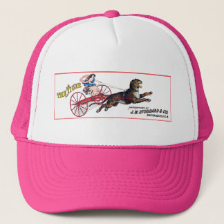 Casquette Stoddard Tiger