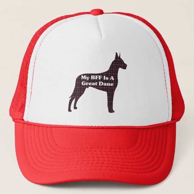 Casquette Super Dane BFF (Devant)