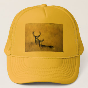 Casquette Sur les cerfs communs de mule de surveillance