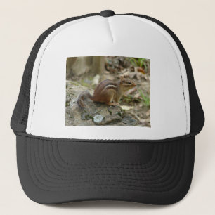 Casquette Sweet Chipmunk Hot Springs National Park Cadfts