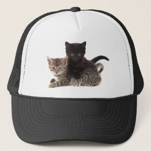 Casquette tabby kitten black kitten