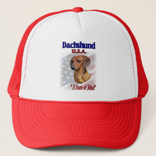 Casquette Teckel Etats-Unis patriotique