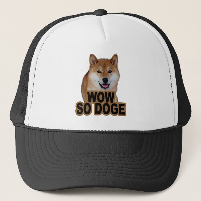 Casquette Tee - shirt .png de doge (Devant)