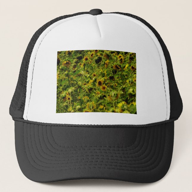 Casquette Terrain de tournesol (Devant)