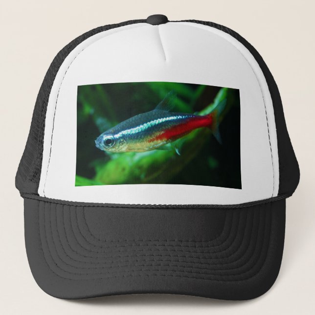 Casquette Tétra Paracheirodon au néon Innesi de poissons (Devant)
