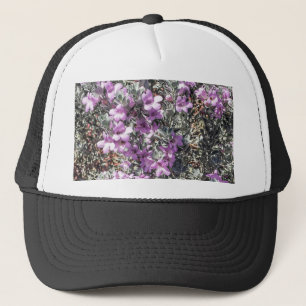 Casquette Texas Sage