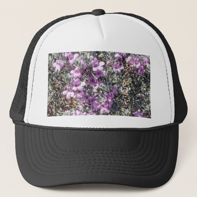 Casquette Texas Sage (Devant)