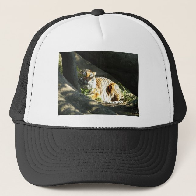 Casquette Tiger Catnap (Devant)