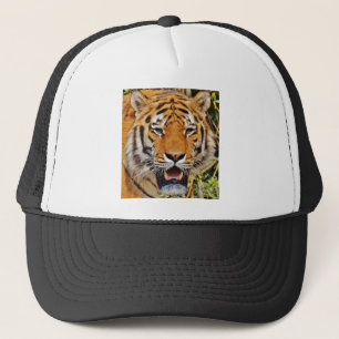 Casquette Tigre