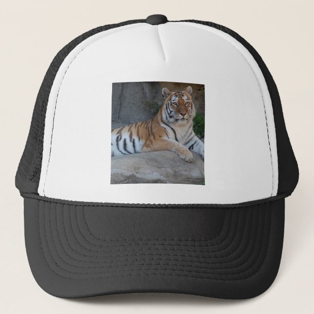 Casquette Tigres du Bengale (Devant)