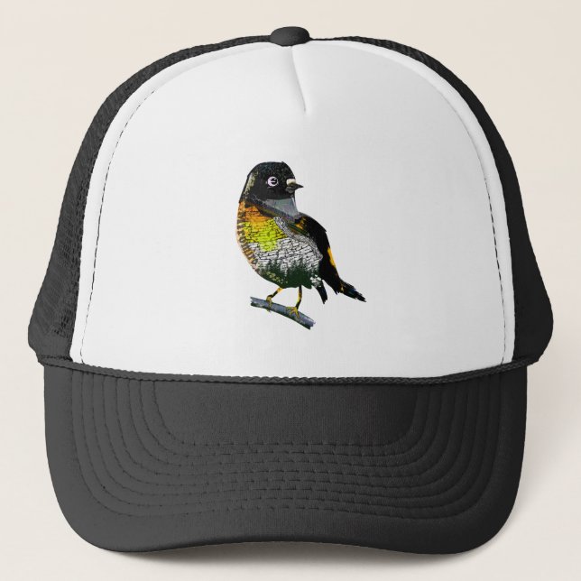 Casquette Tomtit Miromiro (Devant)