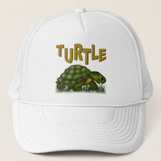 Casquette Tortue