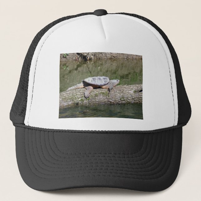 Casquette Tortue (Devant)