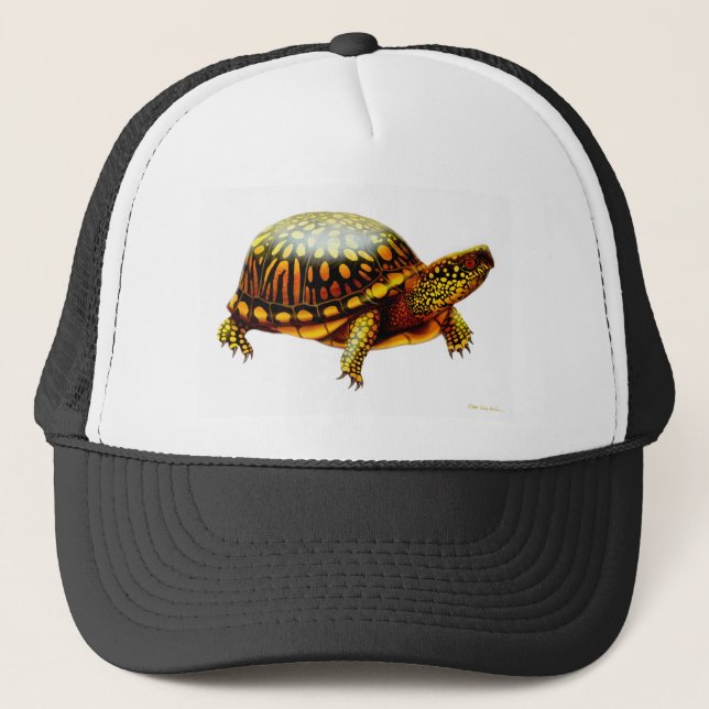 Casquette Tortue de boîte orientale (Devant)