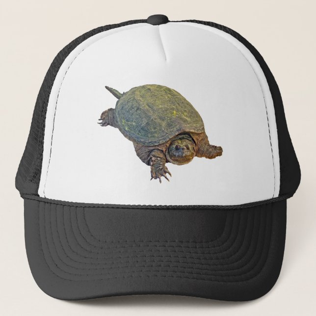 Casquette Tortue de rupture commune - serpentina de Chelydra (Devant)