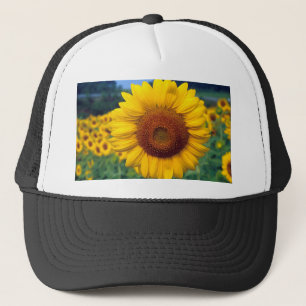 Casquette Tournesol