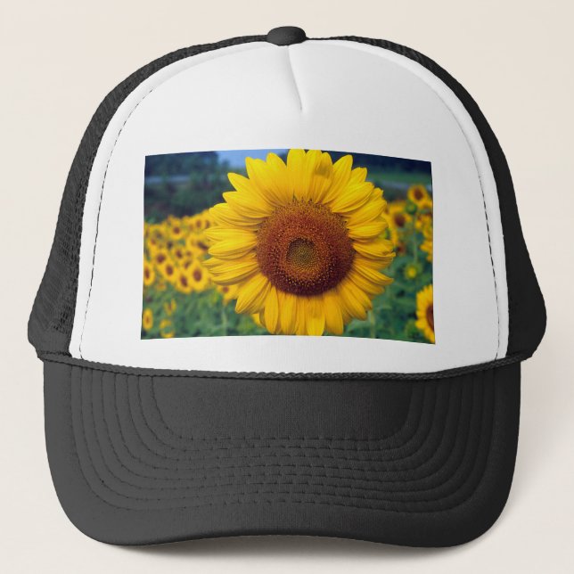 Casquette Tournesol (Devant)