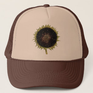 Casquette Tournesol en pleine floraison