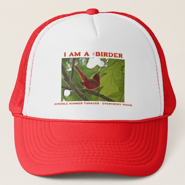 Casquette Tout le monde Vogue Juvenile Summer Tanager Birage (Devant)