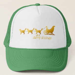 Casquette Traîneau de *Cat