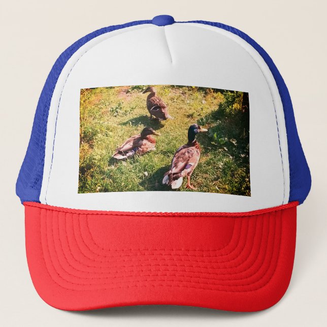 Casquette Trois canards (Devant)