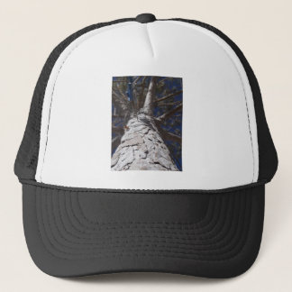 Casquette Tronc d'arbre