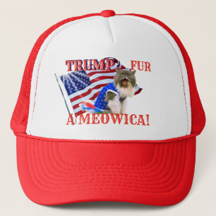 Casquette TRUMP fur A'meowica ! Chat
