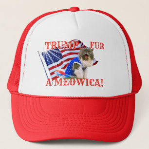 Casquette TRUMP fur A'meowica ! Chat