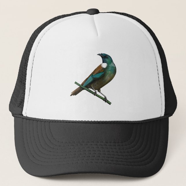 Casquette Tui New Zealands Bird (Devant)