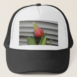 Casquette Tulipe de Budding