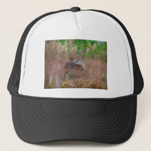 Casquette Un cerf dans l'herbe haute