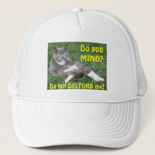 Casquette Un chat casquette, ça vous dérange