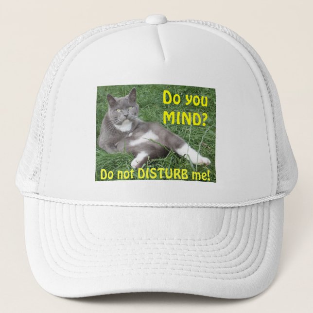 Casquette Un chat casquette, ça vous dérange (Devant)