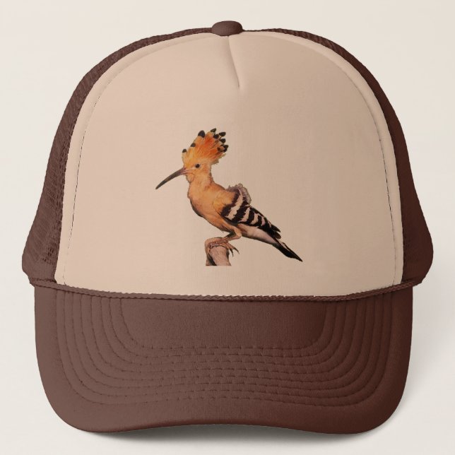 Casquette Upupa epops epops (Devant)
