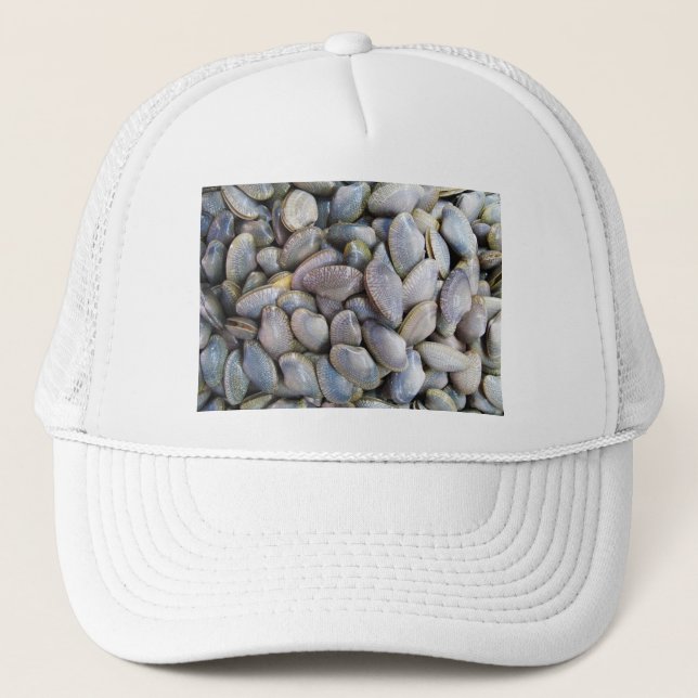 Casquette Venus Clam [ห อ ย ล า ย] (Devant)
