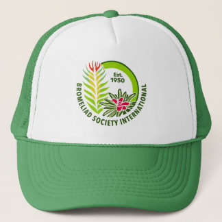 Casquette vert du logo BSI