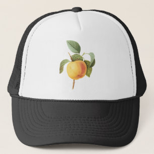 Casquette Vintage Fruit Food, Calville Apple by Redoute