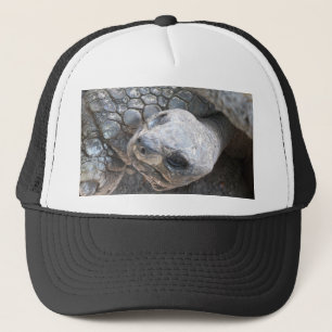 Casquette Visage de tortue