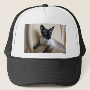 Casquette Visage magnifique de chat siamois
