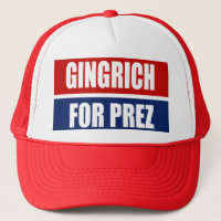 VITESSE DE CAMPAGNE DE NEWT GINGRICH