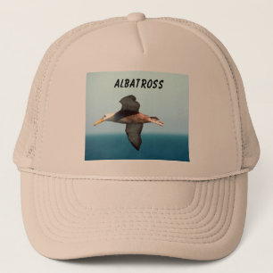 Casquette Vol d'albatros