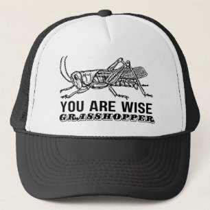 CASQUETTE VOUS ÊTES SAGE GRASSHOPPER
