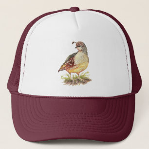 Casquette Watercolor California Quail Garden Bird Nature Art