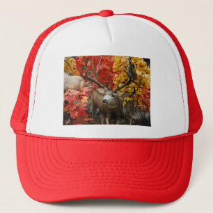 Casquette Whitetail En Automne