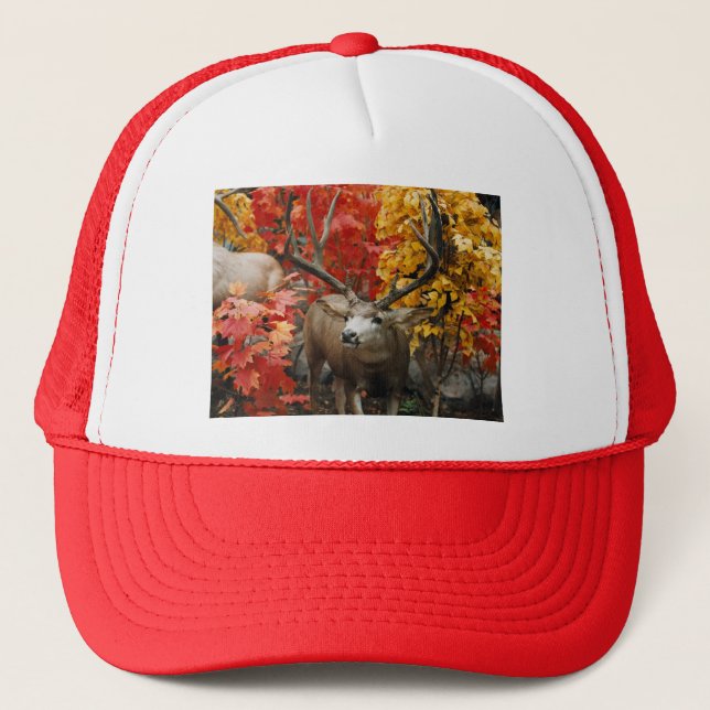 Casquette Whitetail En Automne (Devant)