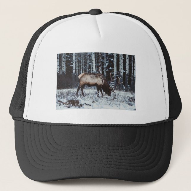 Casquette Winter Majesty: Elk in Snow Trucker Cap (Devant)