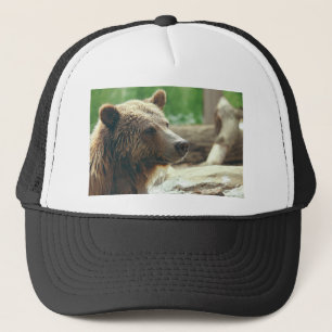 Casquette Yeux animaux de visage d'ours adorable mignon de